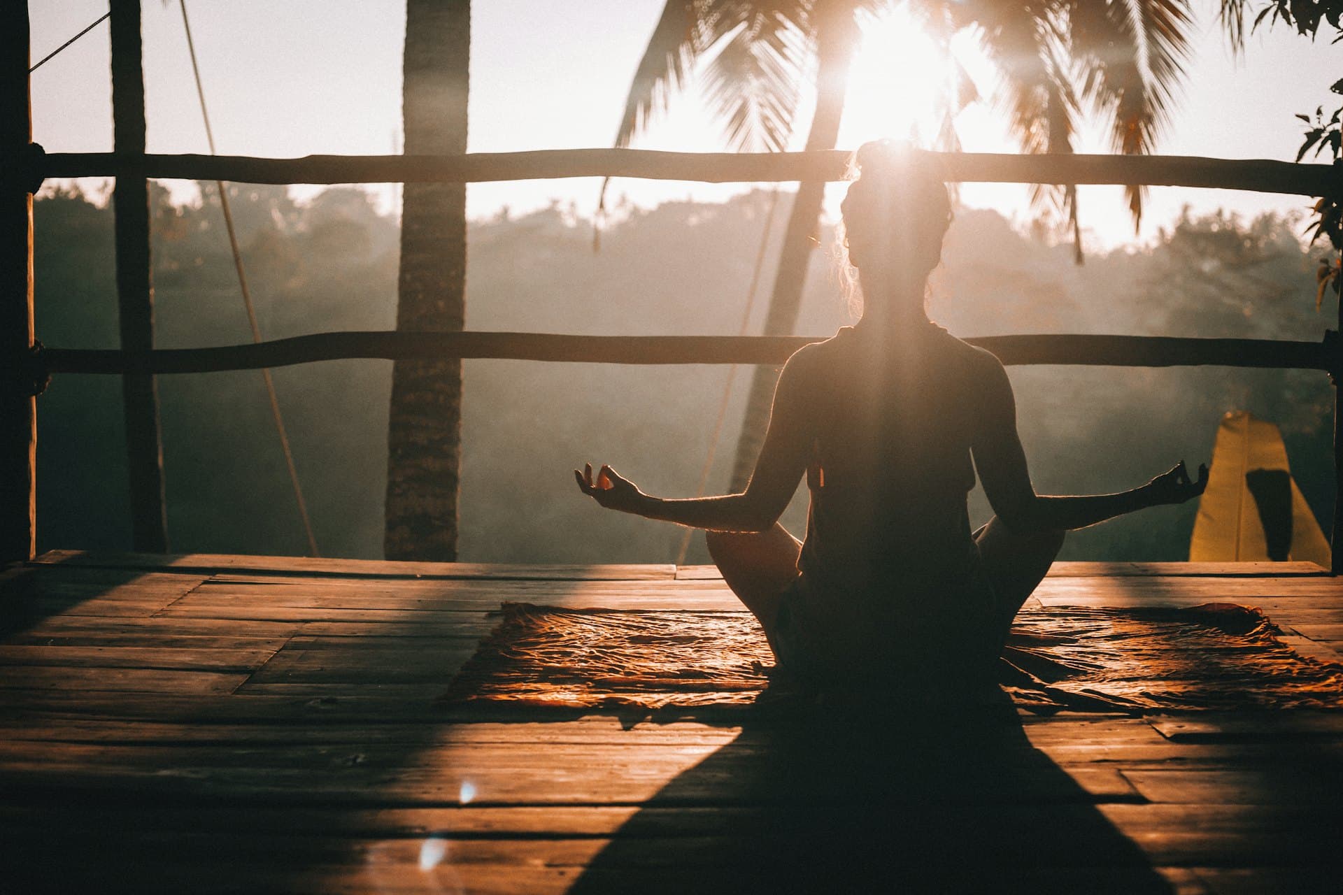 A quiet moment of balance at golden hour
